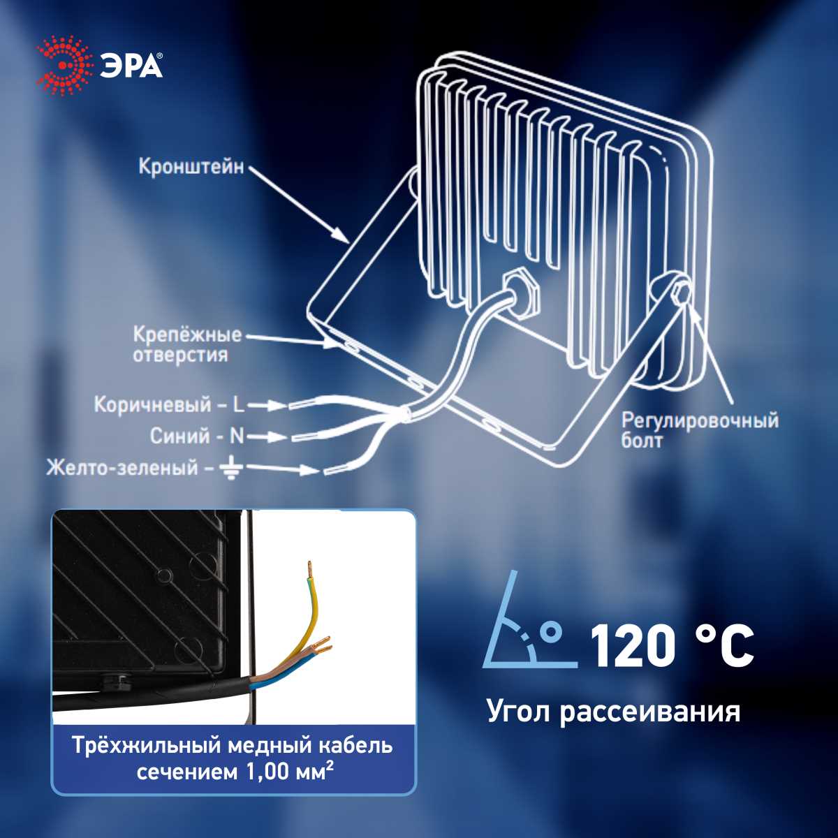 фото прожектор светодиодный уличный эра pro lpr-062-0-65k-100 б0064701 | 220svet.ru