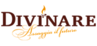 Divinare - купить недорого в интернет магазине 220svet.ru