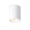 Миниатюра фото накладной светильник ambrella light techno spot techno tn213136 | 220svet.ru