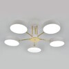 Миниатюра фото потолочная светодиодная люстра escada rune 10262/5led | 220svet.ru