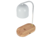 Миниатюра фото настольная лампа с зарядкой для телефона zortes desklight zrs.1066.02 | 220svet.ru