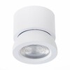 Миниатюра фото светодиодный спот st luce st654.542.10 | 220svet.ru