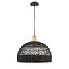 Миниатюра фото подвесной светильник favourite plat 4461-1p | 220svet.ru