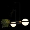 Миниатюра фото подвесной светильник loft it jardin 10121/2 | 220svet.ru