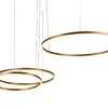 Миниатюра фото подвесной светильник loft it ring 10017/3l | 220svet.ru