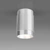Миниатюра фото потолочный светильник elektrostandard tony dln109 gu10 серебро a047742 | 220svet.ru