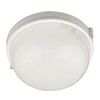 Миниатюра фото потолочный светильник (ul-00006771) uniel uwl-r01 100w/e27 ip54 white | 220svet.ru