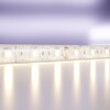 Миниатюра фото светодиодная влагозащищенная лента maytoni technical 14,4w/m smd теплый белый 5m 10131 | 220svet.ru