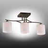 Миниатюра фото потолочная люстра omnilux pisticci oml-55317-03 | 220svet.ru