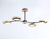 Миниатюра фото потолочная светодиодная люстра ambrella light comfort linetech fl51611 | 220svet.ru