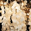 Миниатюра фото подвесная люстра loft it fairytree 10066/1500 gb | 220svet.ru