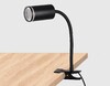 Миниатюра фото настольная лампа ambrella light wallers fw2468 | 220svet.ru
