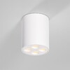 Миниатюра фото потолочный светильник elektrostandard 25111/led a067482 | 220svet.ru