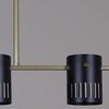Миниатюра фото потолочная люстра на штанге reluce 06675-0.3-05 gd+bk gx53 | 220svet.ru