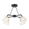 Миниатюра фото потолочная люстра ambrella light traditional modern tr303293 | 220svet.ru