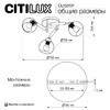 Миниатюра фото потолочная люстра citilux тика cl133131 | 220svet.ru