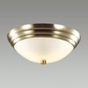 Миниатюра фото настенно-потолочный светильник lumion kayla 5262/2c | 220svet.ru
