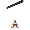 Миниатюра фото трековый однофазный светильник lightstar loft pro765013 | 220svet.ru