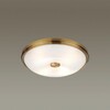 Миниатюра фото потолочный светильник odeon light pelow 4956/4 | 220svet.ru