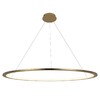 Миниатюра фото подвесной светильник loft it ring 10014xxl | 220svet.ru