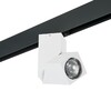 Миниатюра фото трековый однофазный светильник lightstar illumo (595017+051056)pro051056 | 220svet.ru