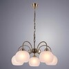 Миниатюра фото подвесная люстра arte lamp a9317lm-5ab | 220svet.ru