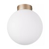 Миниатюра фото настенно-потолочный светильник lightstar globo 812023 | 220svet.ru