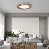 Миниатюра фото потолочный светодиодный светильник imperium loft runis 219474-26 | 220svet.ru