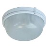 Миниатюра фото настенно-потолочный светильник эра нбп 03-100-001 б0048420 | 220svet.ru