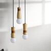 Миниатюра фото подвесной светильник imperium loft sash 314541-26 | 220svet.ru