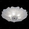Миниатюра фото потолочный светильник lightstar lobo 804020 | 220svet.ru