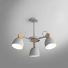 Миниатюра фото подвесная люстра imperium loft rolla 101991-26 | 220svet.ru