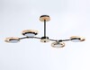 Миниатюра фото потолочная светодиодная люстра ambrella light comfort linetech fl51611 | 220svet.ru