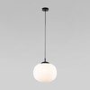 Миниатюра фото подвесной светильник tk lighting vibe 4804 | 220svet.ru