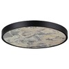 Миниатюра фото настенно-потолочный светильник odeon light bergi 5064/50l черный | 220svet.ru