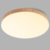 Миниатюра фото потолочный светодиодный светильник feron al1600 51110 | 220svet.ru
