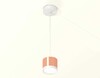 Миниатюра фото комплект подвесного светильника ambrella light techno spot xp (a2331, c8122, n8112) xp8122011 | 220svet.ru