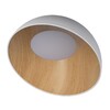 Миниатюра фото потолочный светильник loft it egg 10197/500 white | 220svet.ru