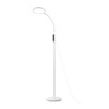 Миниатюра фото торшер ambrella light traditional tr97701 | 220svet.ru