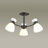 Миниатюра фото потолочная люстра lumion wilma 4534/5c | 220svet.ru