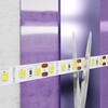 Миниатюра фото светодиодная лента maytoni technical 14,4w/m 120led/m 2835smd холодный белый 5m 10116 | 220svet.ru