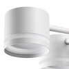 Миниатюра фото потолочная люстра lumion gareta 8235/9c белый | 220svet.ru