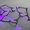 Миниатюра фото гирлянда нить 10м фиолетовая 24в, 100 led, провод черный пвх, ip54 ltc pst100-11-1pu | 220svet.ru