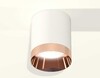 Миниатюра фото комплект потолочного светильника ambrella light techno spot xc (c6301, n6135) xs6301025 | 220svet.ru