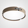 Миниатюра фото потолочный светильник imperium loft range 195539-26 | 220svet.ru
