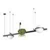 Миниатюра фото подвесной светильник loft it jardin 10121/d dark grey | 220svet.ru