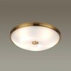 Миниатюра фото потолочный светильник odeon light pelow 4956/5 | 220svet.ru