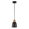 Миниатюра фото подвесной светильник arte lamp eurica a4248sp-1bk | 220svet.ru