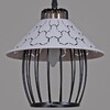 Миниатюра фото подвесная люстра reluce 02513-0.9-03 bk+wh | 220svet.ru