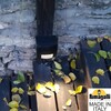 Миниатюра фото светильник для подсветки лестниц накладной fumagalli extraleti 100 square-st 3s4.000.000.ayg1l | 220svet.ru